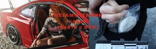 прущие грибы Вяземский