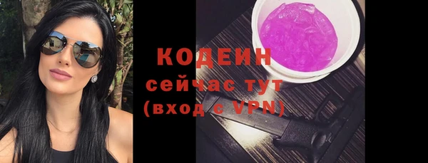 прущие грибы Вяземский