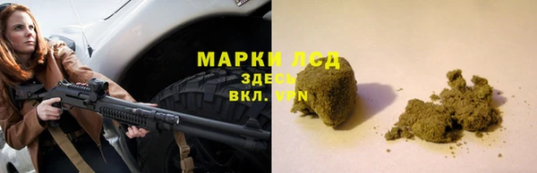 прущие грибы Вяземский