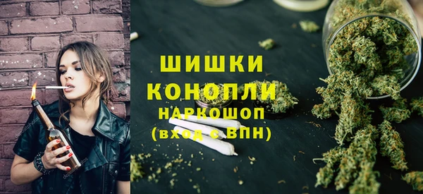 прущие грибы Вяземский