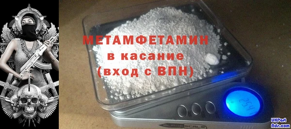 прущие грибы Вяземский