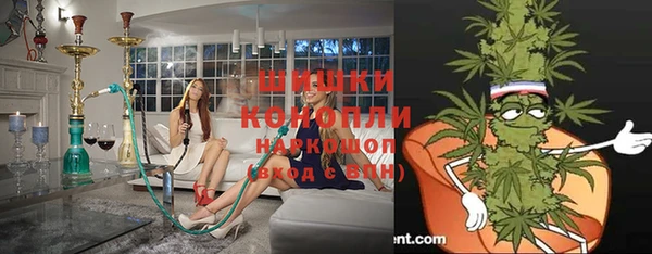 прущие грибы Вяземский
