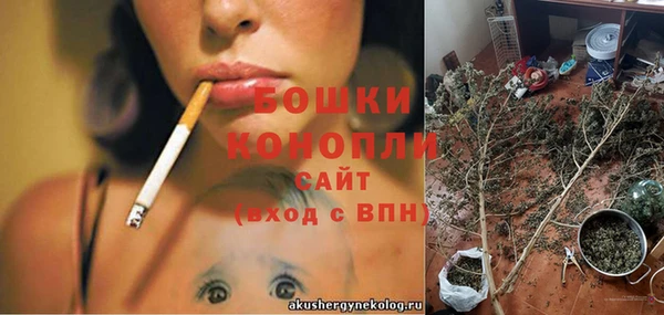 прущие грибы Вяземский