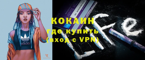 прущие грибы Вяземский