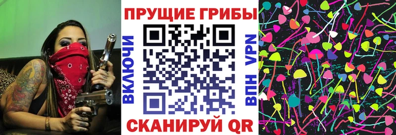 где найти   Кулебаки  Псилоцибиновые грибы MAGIC MUSHROOMS 